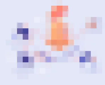 海星体育